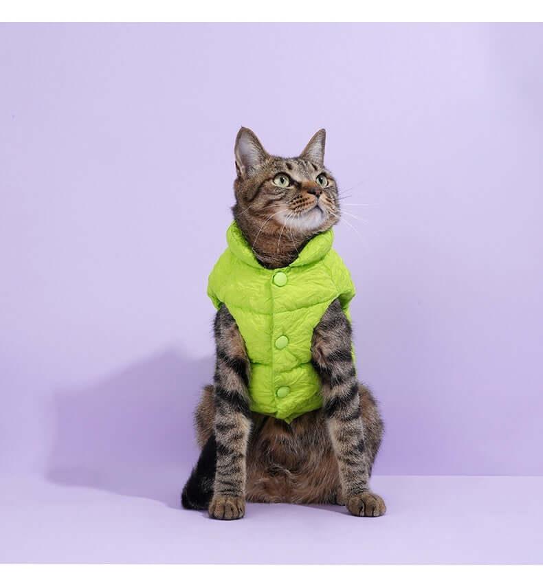 Fluorescent Green Holiday Pet Coat and Scarf Set.
