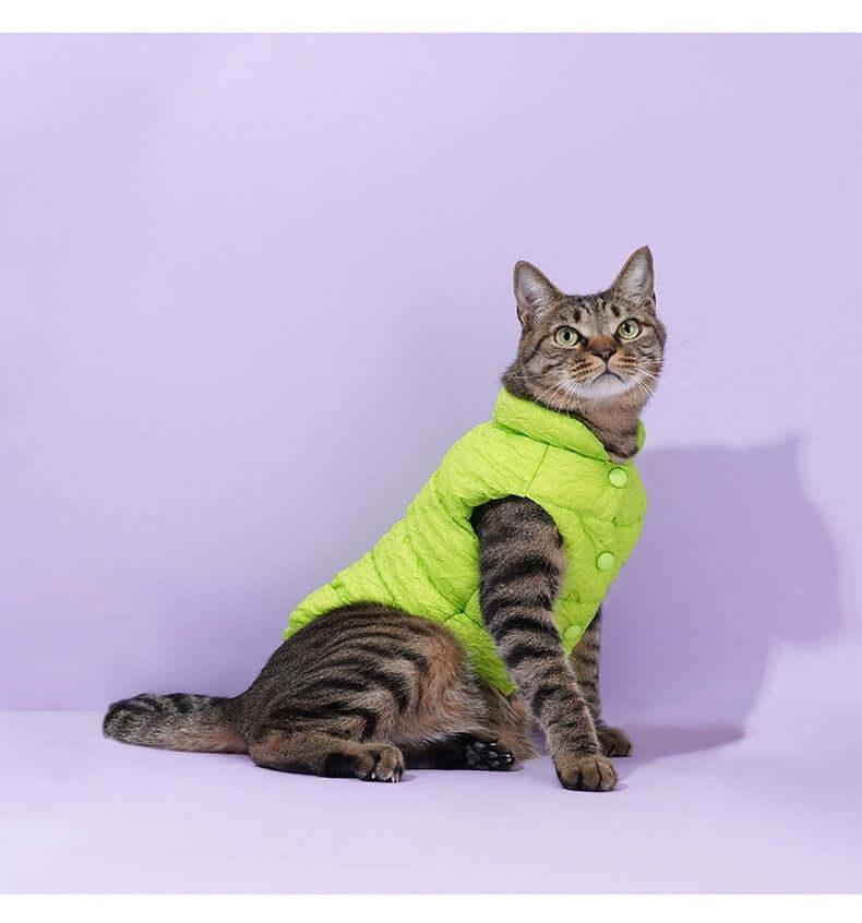 Fluorescent Green Holiday Pet Coat and Scarf Set.