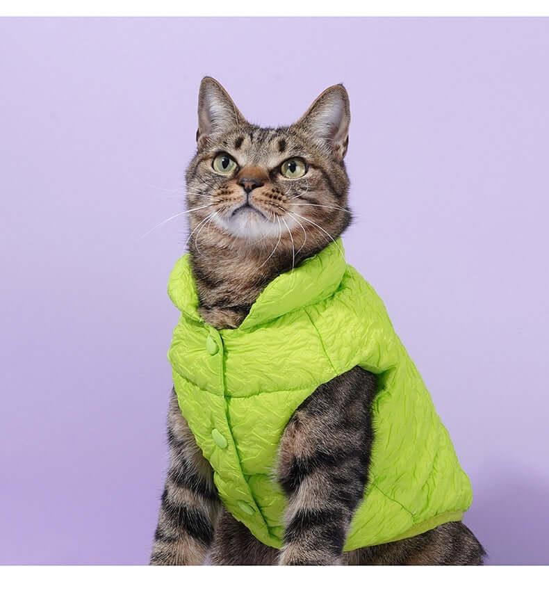 Fluorescent Green Holiday Pet Coat and Scarf Set.