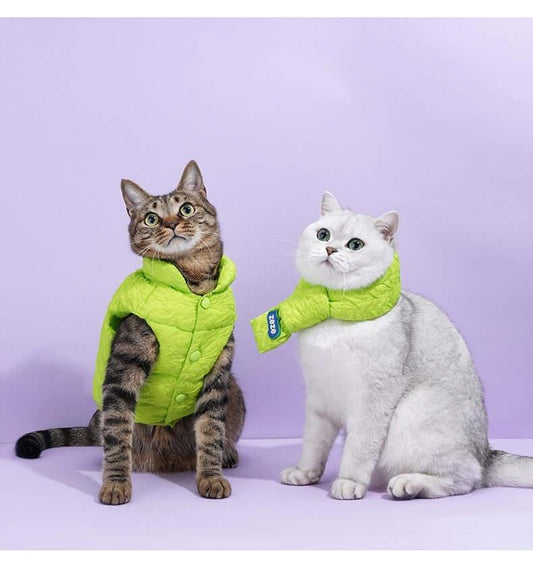 Fluorescent Green Holiday Pet Coat and Scarf Set.