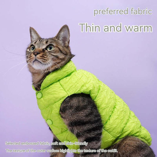 Fluorescent Green Holiday Pet Coat and Scarf Set.