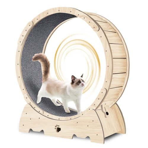 MeowTrek 360.